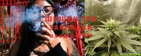 прущий лед Бикин