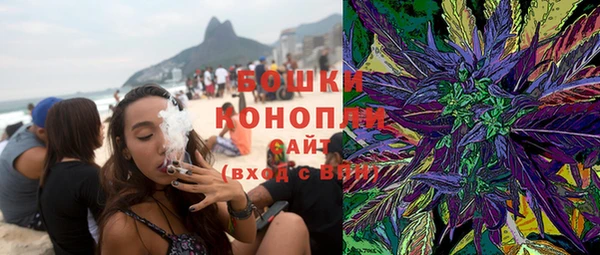 прущий лед Бикин