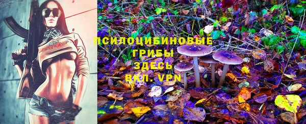 PSILOCYBIN Балабаново