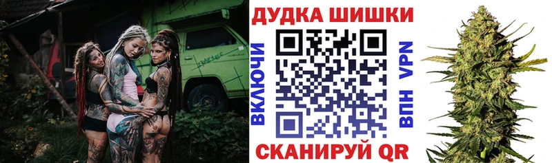 Бошки марихуана сатива  Железногорск-Илимский 